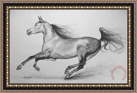 Agris Rautins Galloping horse Framed Painting