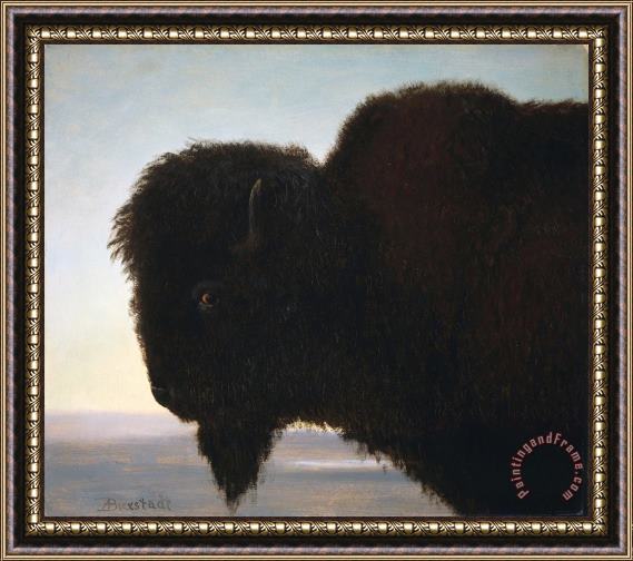 Albert Bierstadt Buffalo Head Framed Painting