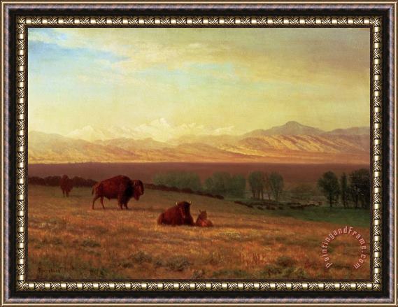Albert Bierstadt Buffalo on The Plains Framed Print