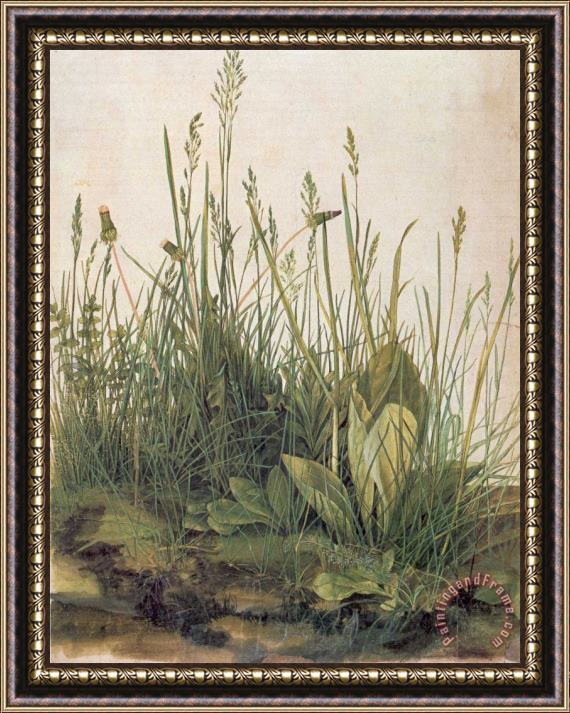 Albrecht Durer Great Piece Of Turf Framed Painting