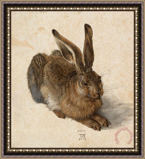Albrecht Durer Hare, 1502 Framed Print
