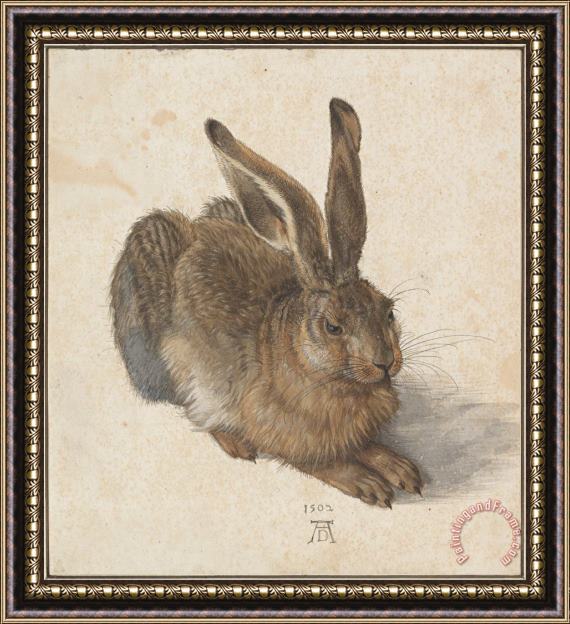 Albrecht Durer Hare Framed Painting