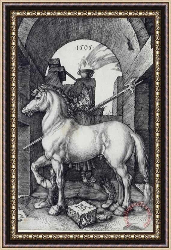 Albrecht Durer The Small Horse Framed Painting