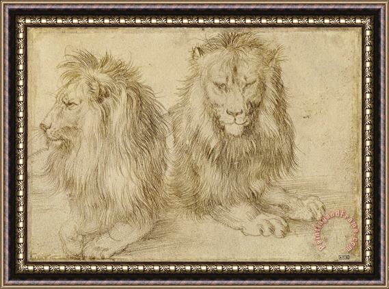 Albrecht Durer Two Seated Lions Framed Painting