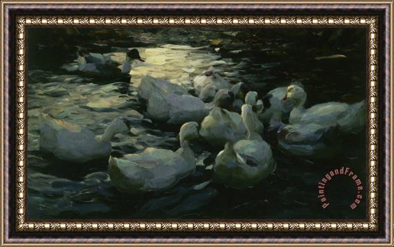 Alexander Koester Enten Im Wasser Framed Painting