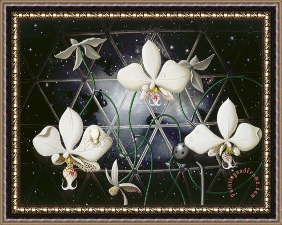 Alexis Rockman Biosphere: Orchids Framed Painting