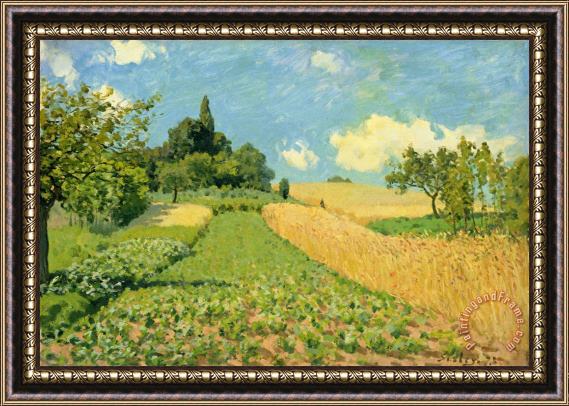 Alfred Sisley The Cornfield (near Argenteuil) Framed Painting