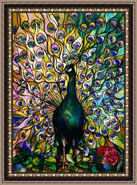 American School Peacock Framed Painting