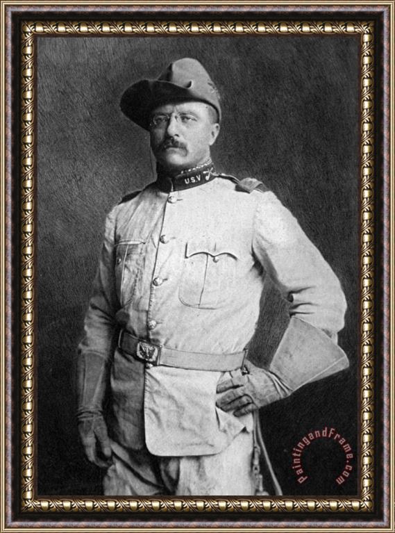 American School Theodore Roosevelt Framed Print