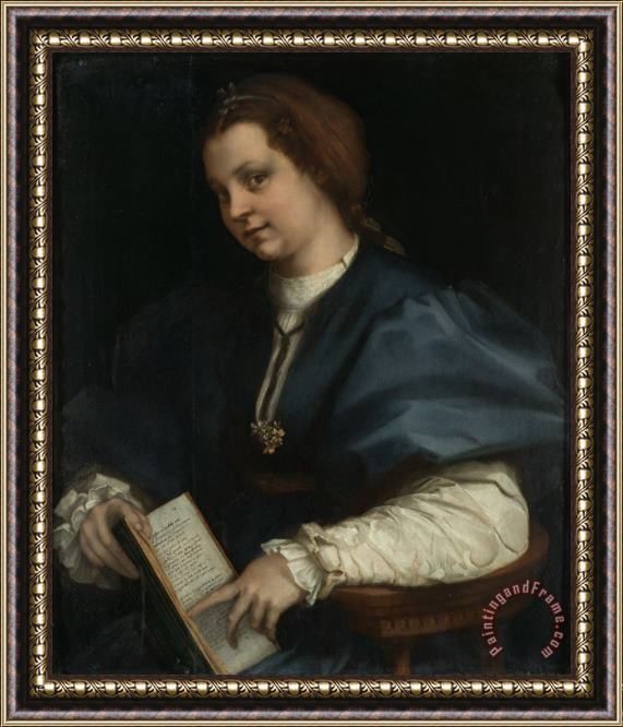 Andrea del Sarto Lady with a Book of Petrarch's Rhyme Framed Painting