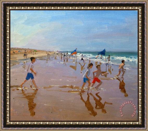 Andrew Macara Flags and reflections Framed Print