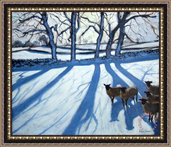 Andrew Macara Sheep in snow Framed Print