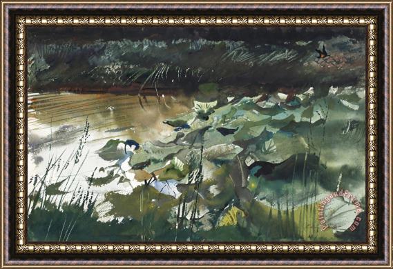 andrew wyeth Lily Pads, 1954 Framed Print