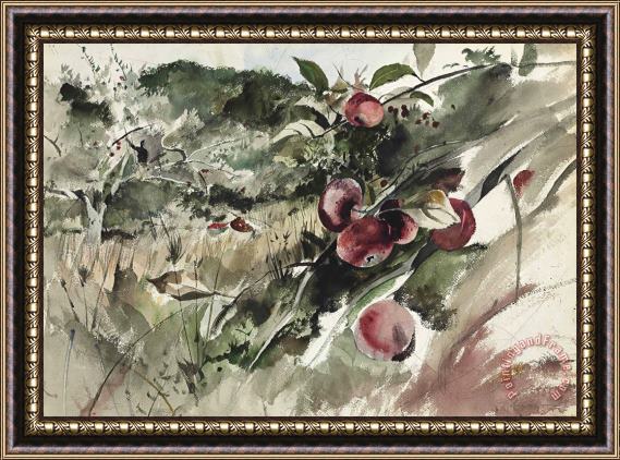 andrew wyeth Picking Apples, 1945 Framed Painting