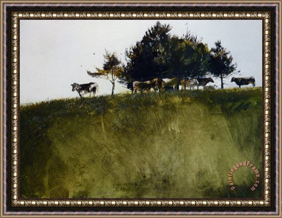 andrew wyeth Shadey Trees Framed Painting