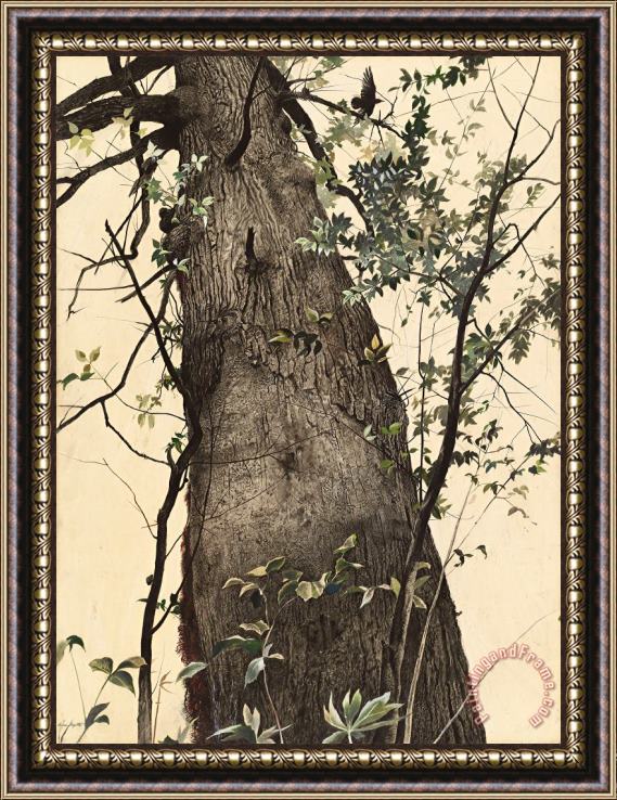 andrew wyeth The Oak, 1944 Framed Painting