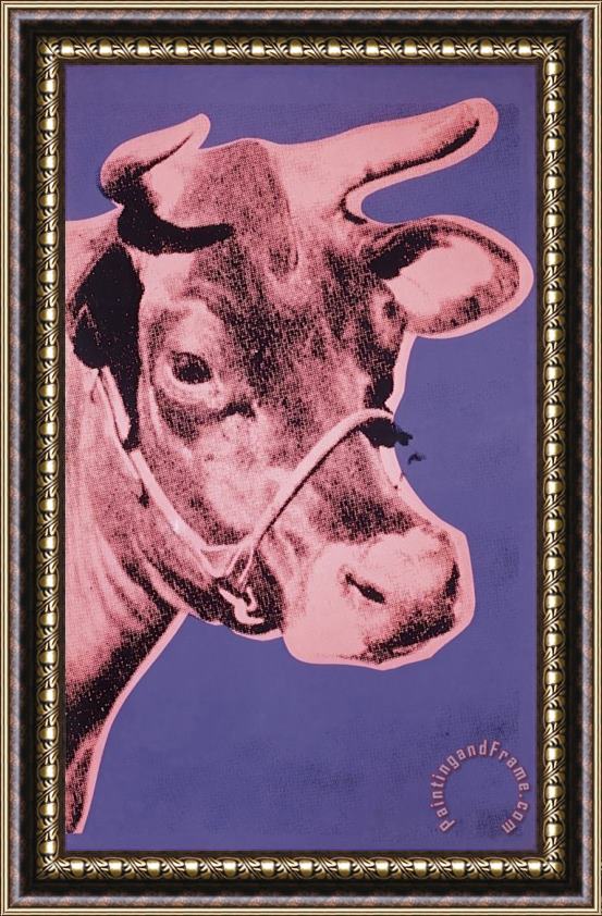 Andy Warhol Cow C 1976 Pink And Purple Framed Print