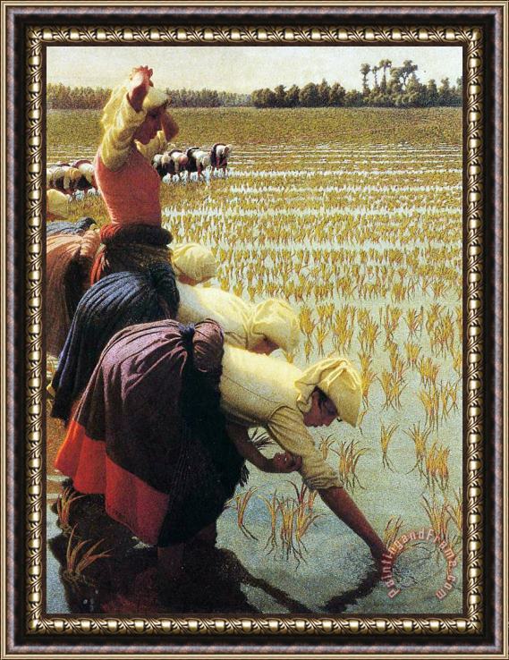 Angelo Morbelli An Italian Rice Field Framed Print