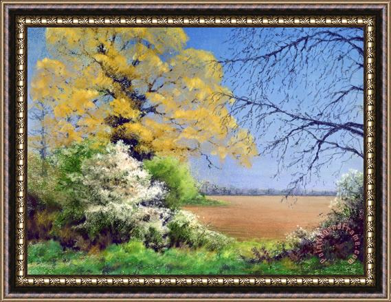 Anthony Rule Blackthorn Winter Framed Painting