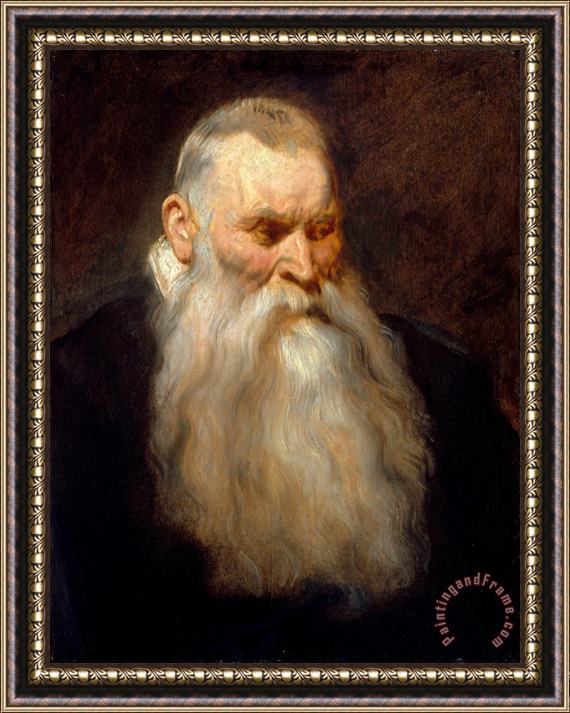 Anthony van Dyck Study Head of an Old Man with a White Beard Framed Print