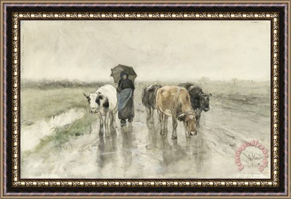 Anton Mauve A Herdess with Cows on a Country Road in The Rain Framed Print