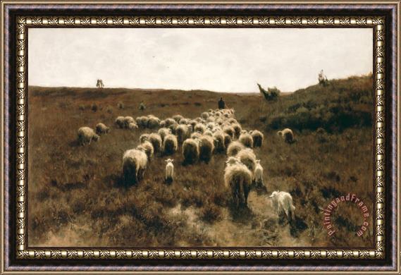 Anton Mauve The Return of The Flock, Laren Framed Painting