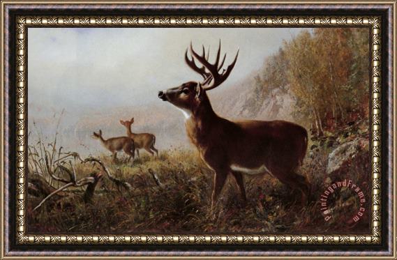 Arthur Fitzwilliam Tait A Tempting Shot Framed Painting