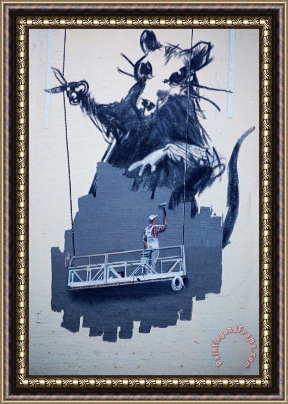 Banksy Gnark Framed Painting