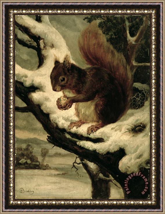 Basil Bradley A Red Squirrel Eating a Nut Framed Painting