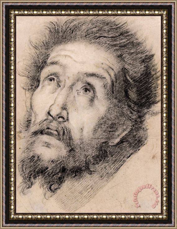 Bernardo Strozzi Study for St Francis of Assisi Adoring The Cross Framed Painting
