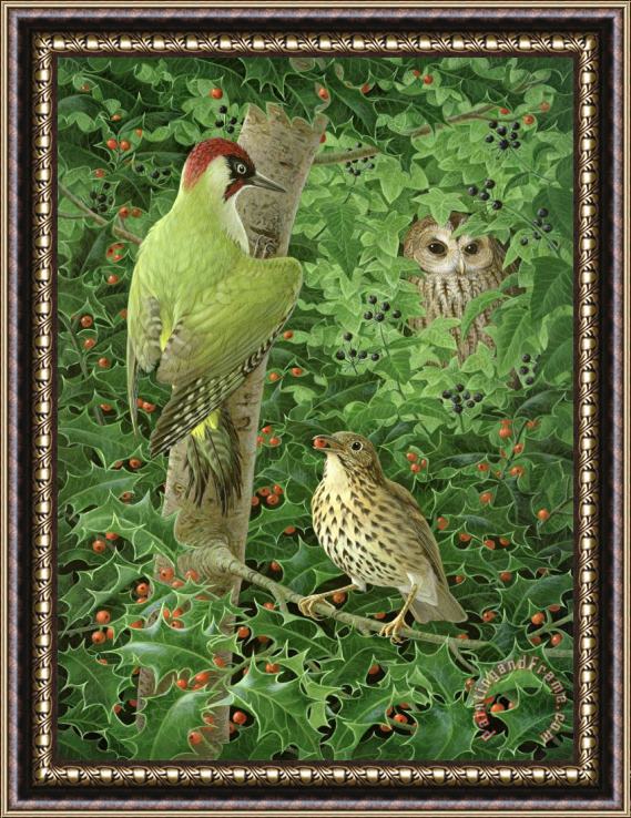 Birgitte Hendil Woodpecker Owl And Thrush Framed Painting