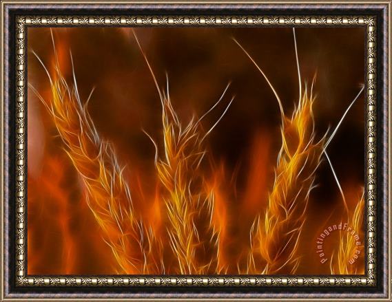 Blair Wainman Autumn Flames Framed Painting