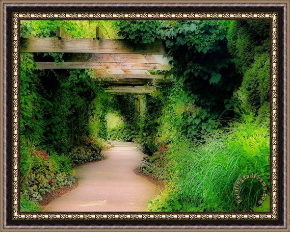 Blair Wainman Down the Garden Path Framed Print