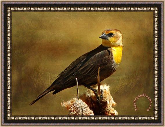 Blair Wainman Prairie Gold Framed Painting