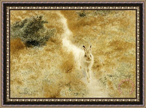 Bruno Liljefors A Winter Hare in a Landscape Framed Painting