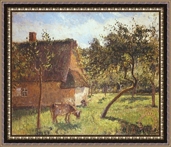 Camille Pissarro Field at Varengeville Framed Print