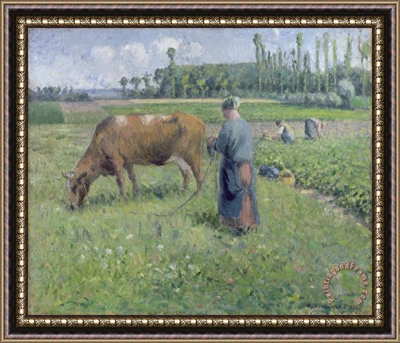 Camille Pissarro Girl Tending a Cow in Pasture Framed Painting