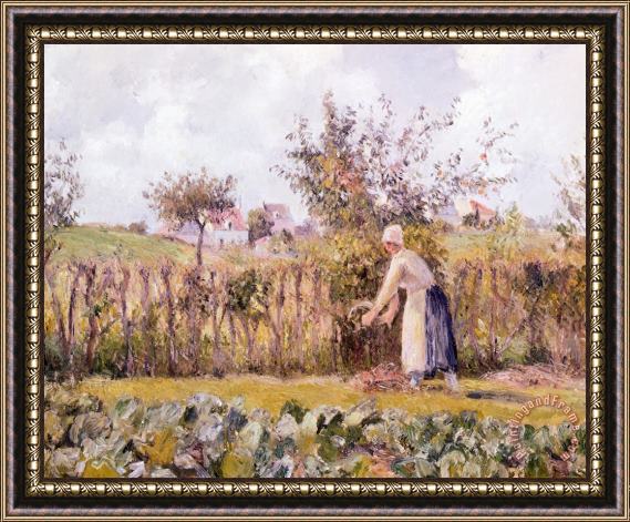 Camille Pissarro In Garden Framed Print
