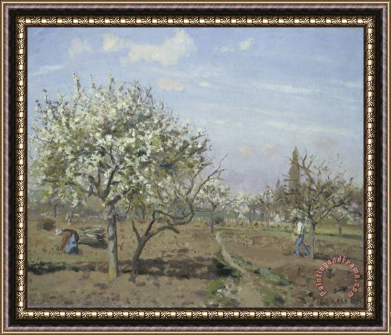 Camille Pissarro Orchard in Bloom, Louveciennes Framed Painting