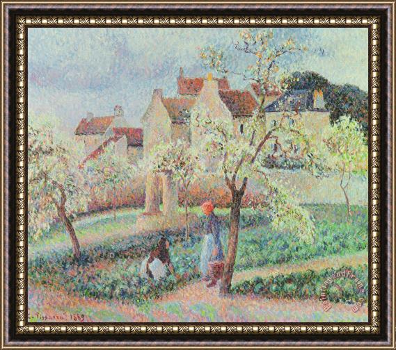 Camille Pissarro Plum Trees In Flower Framed Painting