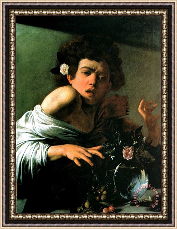 Caravaggio Boy Lizard 1594 Framed Painting