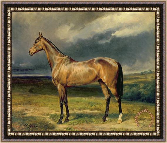 Carl Constantin Steffeck Abdul Medschid the chestnut arab horse Framed Painting
