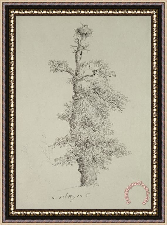 Caspar David Friedrich Ancient Oak Tree With A Storks Nest Framed Print