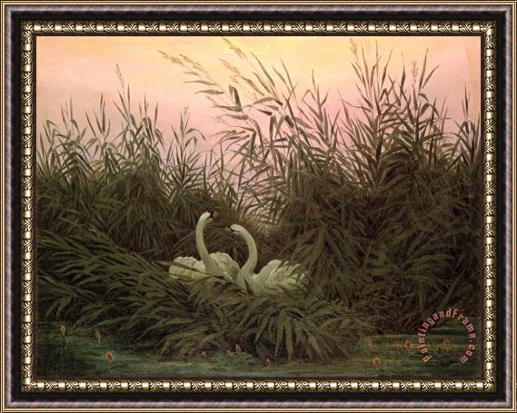 Caspar David Friedrich Swans in The Reeds Framed Print
