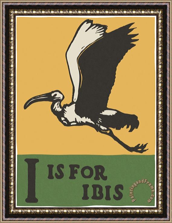 C.B. Falls Alphabet: I Is for Ibis Framed Painting