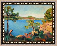 Framed Print