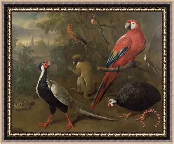 Charles Collins Pheasant Macaw Monkey Parrots and Tortoise Framed Painting
