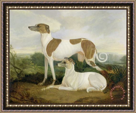 Charles Hancock Two Greyhounds in a Landscape Framed Painting
