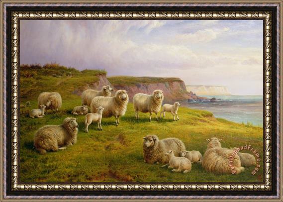 Charles Jones Sheep On A Dorset Coast Framed Painting