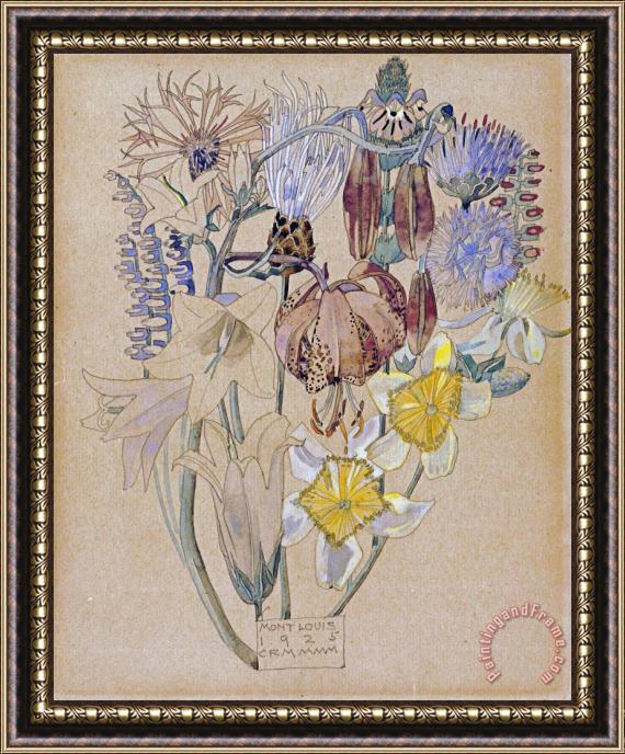 Charles Rennie Mackintosh Mont Louis Flower Study Framed Painting